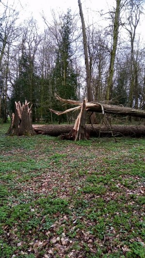 Tempête du 10 mars 2019